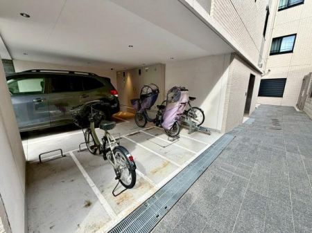 �����s���c�J�扜��7���ڂ̒��Ã}���V�����̉摜