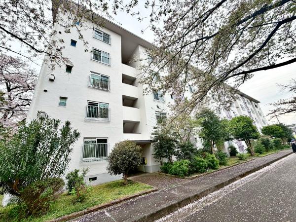 �����s���c�J�拋�c4���ڂ̒��Ã}���V�����̌��n�O�ώʐ^