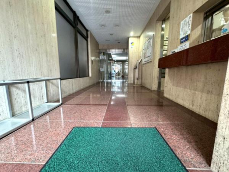 �����s�����q�s�Ǖ����̒��Ã}���V�����̃G���g�����X