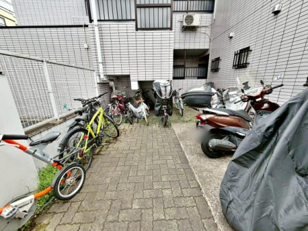 �����s���c�J���c4���ڂ̒��Ã}���V�����̉摜