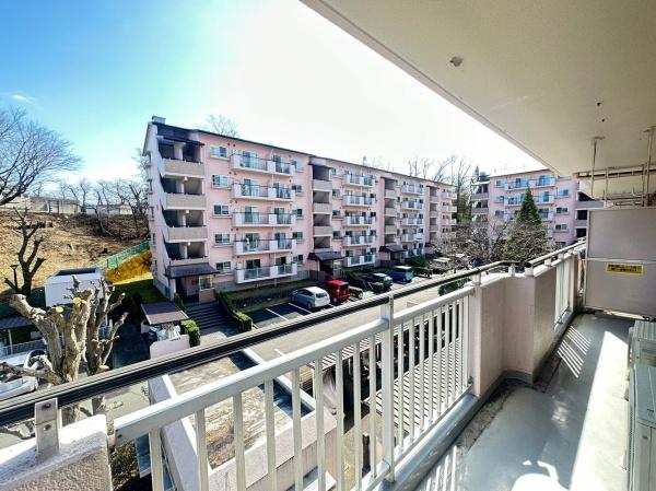 �����s�����q�s�v�ێR��1���ڂ̒��Ã}���V�����̃o���R�j�[