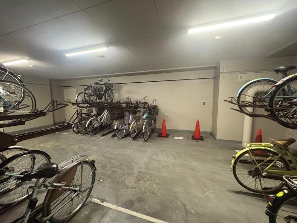 �����s�����q�s���R���̒��Ã}���V�����̂��̑����p��