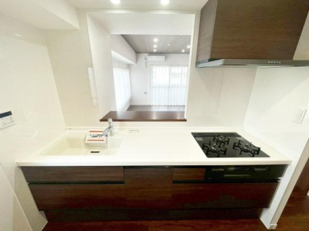 �����s�����q�s���R���̒��Ã}���V�����̃L�b�`��