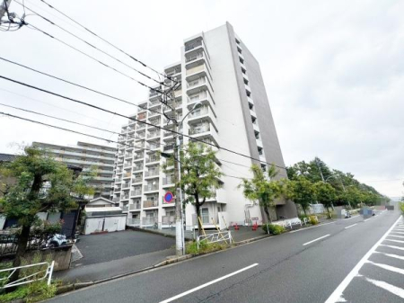 �����s�����q�s���c���̒��Ã}���V�����̌��n�O�ώʐ^