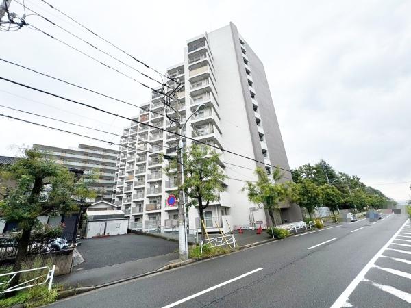 �����s�����q�s���c���̒��Ã}���V�����̌��n�O�ώʐ^