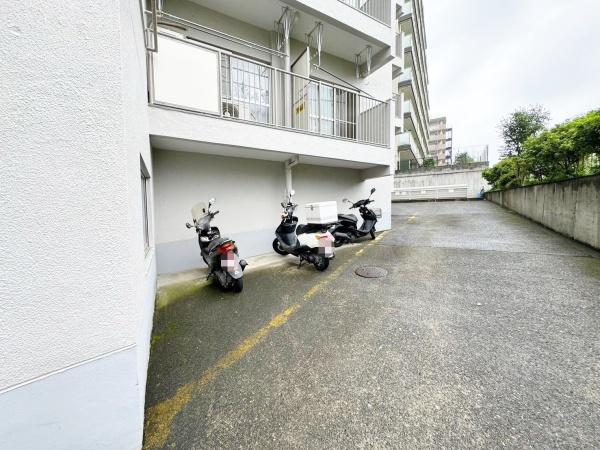 �����s�����q�s���c���̒��Ã}���V�����̂��̑����p��