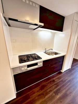 �����s�V�h��V�h1���ڂ̒��Ã}���V�����̃L�b�`��