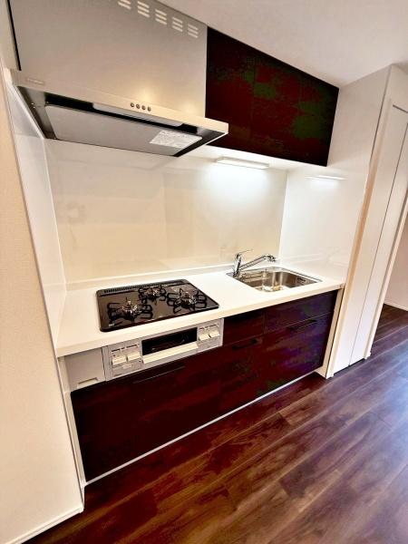 �����s�V�h��V�h1���ڂ̒��Ã}���V�����̃L�b�`��