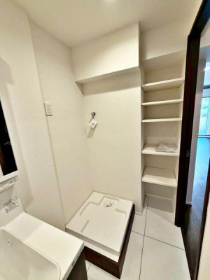 �����s�V�h��V�h1���ڂ̒��Ã}���V�����̐��ʑ�E���ʏ�