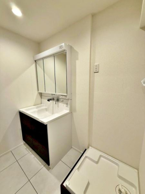 �����s�V�h��V�h1���ڂ̒��Ã}���V�����̐��ʑ�E���ʏ�