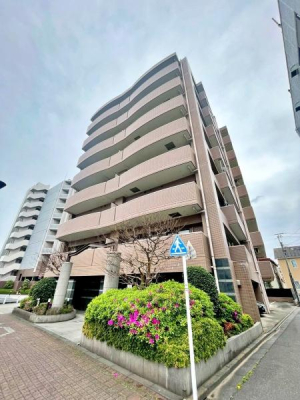 �����s�����q�s�����̒��Ã}���V�����̌��n�O�ώʐ^