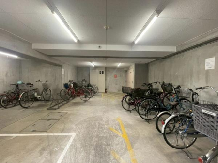 �����s�����q�s�����̒��Ã}���V�����̂��̑����p��