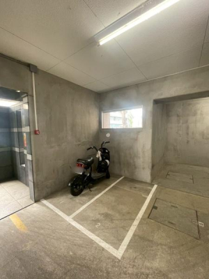 �����s�����q�s�����̒��Ã}���V�����̂��̑����p��