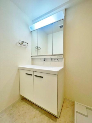 �����s�����q�s�����̒��Ã}���V�����̐��ʑ�E���ʏ�