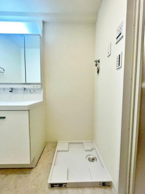 �����s�����q�s�����̒��Ã}���V�����̐��ʑ�E���ʏ�