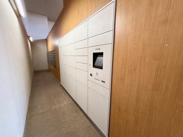 �����s�����q�s������̒��Ã}���V�����̂��̑����p��