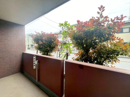 �����s�����q�s�����̒��Ã}���V�����̃o���R�j�[