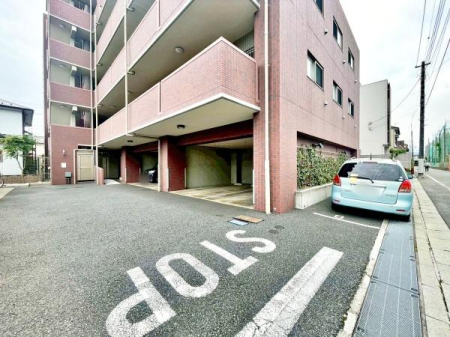 �����s�����q�s�����̒��Ã}���V�����̉摜