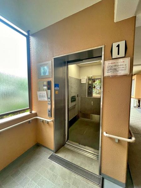 �����s�����q�s�U�c��5���ڂ̒��Ã}���V�����̂��̑����p��