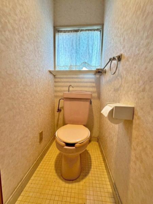 �����s�����q�s�R�c���̒��È�ˌ��Ẵg�C��