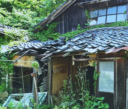 �G���Ɉ͂܂�A�ǂɃc�^�̂͂��Ă���V�����������{�Ɖ�